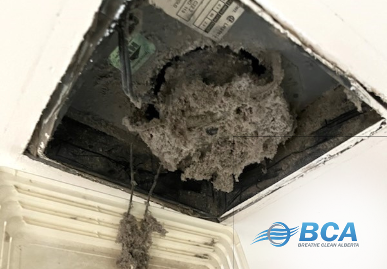 Your Solution to Clogged Bathroom Exhaust Fans Breathe Clean Alberta